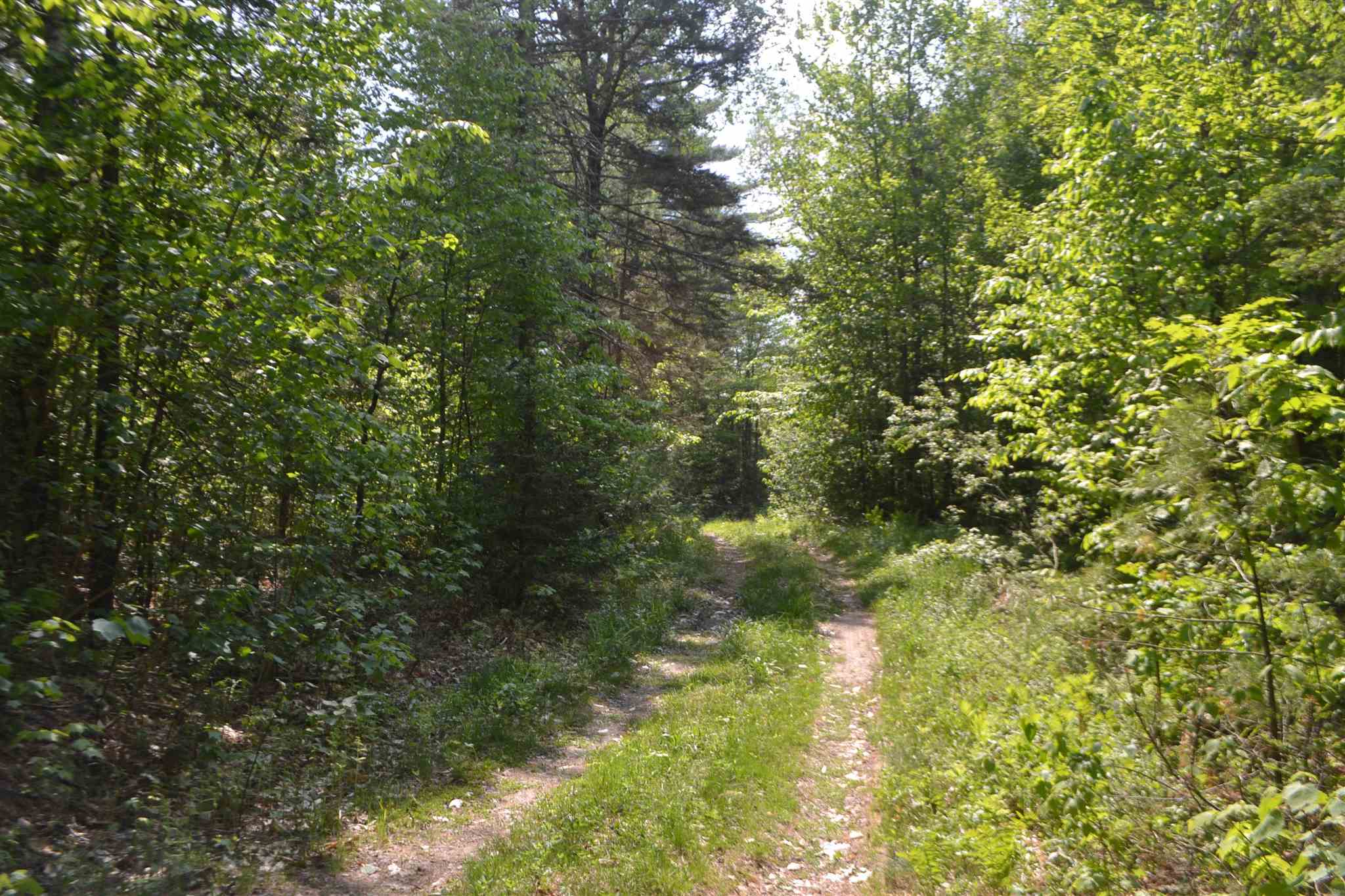 100 Peaslee Road Canaan, NH 03741 - Photo 12 of 24 Gallery Image 12