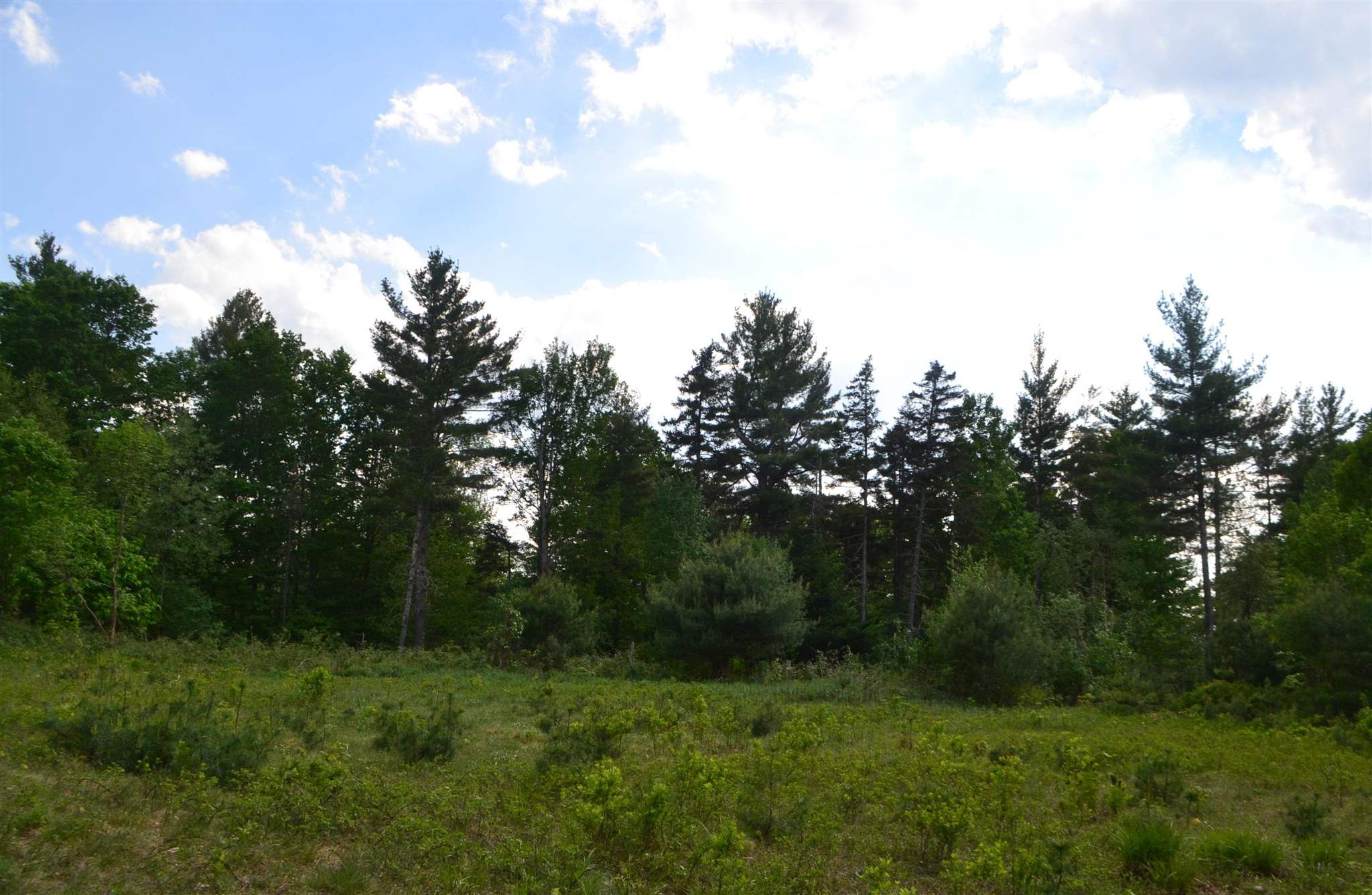 100 Peaslee Road Canaan, NH 03741 - Photo 14 of 24 Gallery Image 14