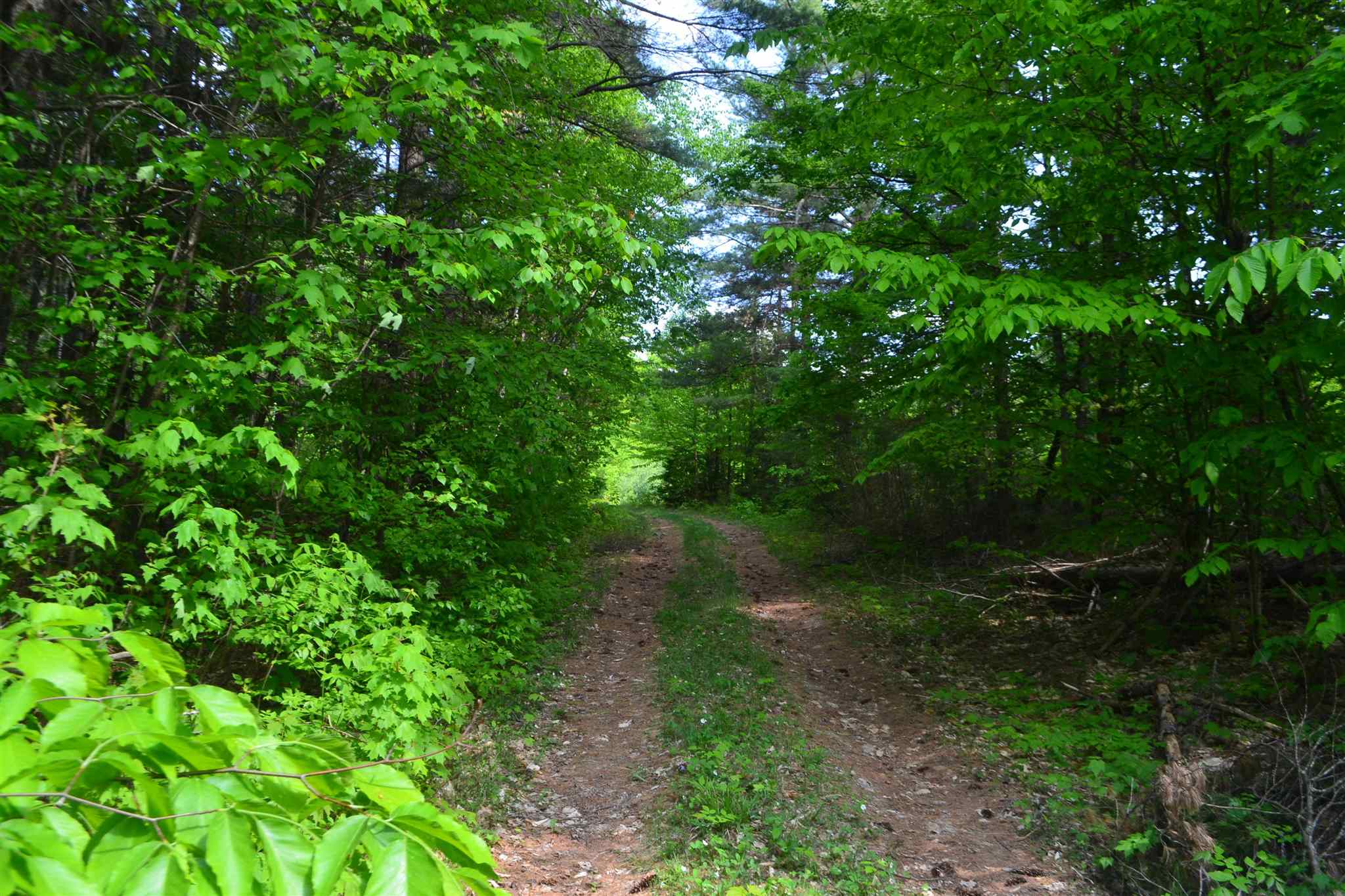 100 Peaslee Road Canaan, NH 03741 - Photo 15 of 24 Gallery Image 15