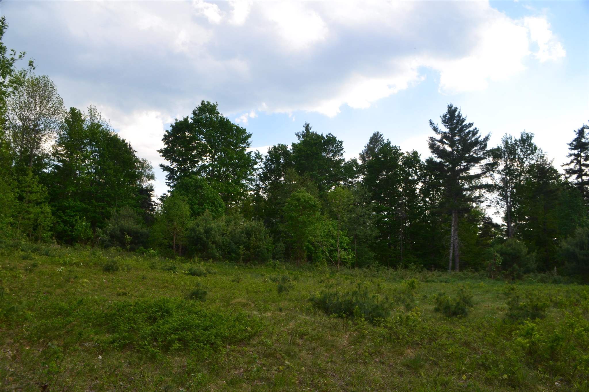 100 Peaslee Road Canaan, NH 03741 - Photo 17 of 24 Gallery Image 17