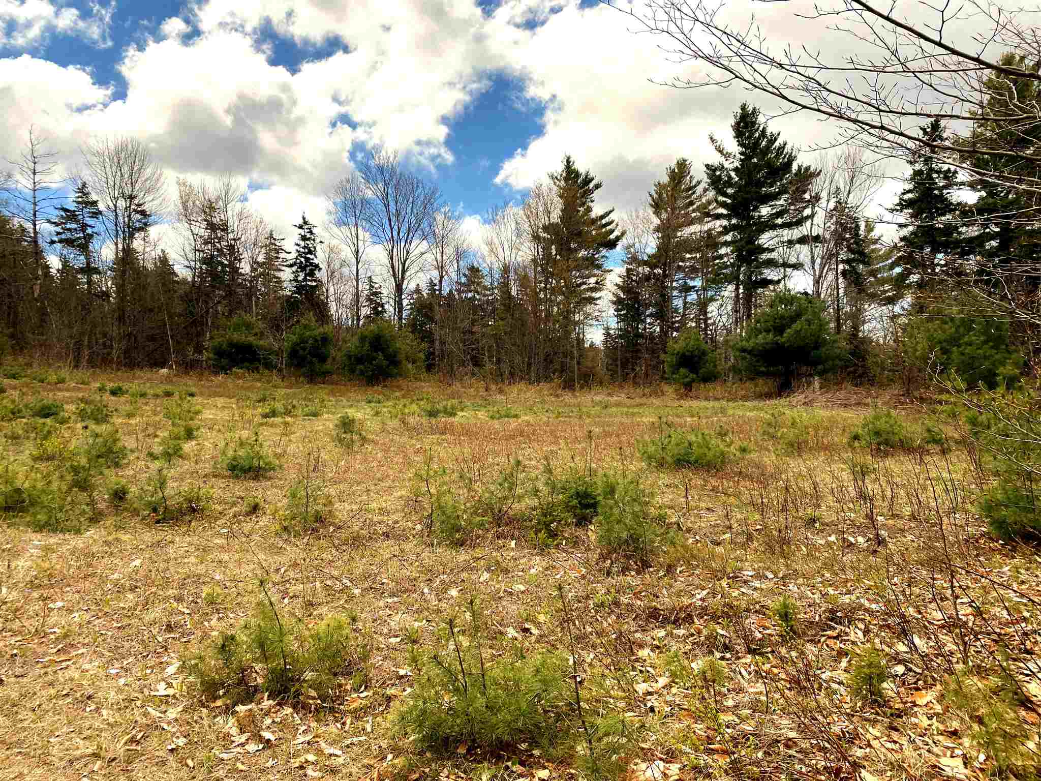 100 Peaslee Road Canaan, NH 03741 - Photo 4 of 24 Gallery Image 4