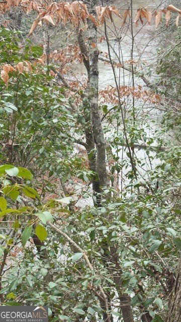 0 North Helton Road Winston, GA 30187 - Photo 7 of 7