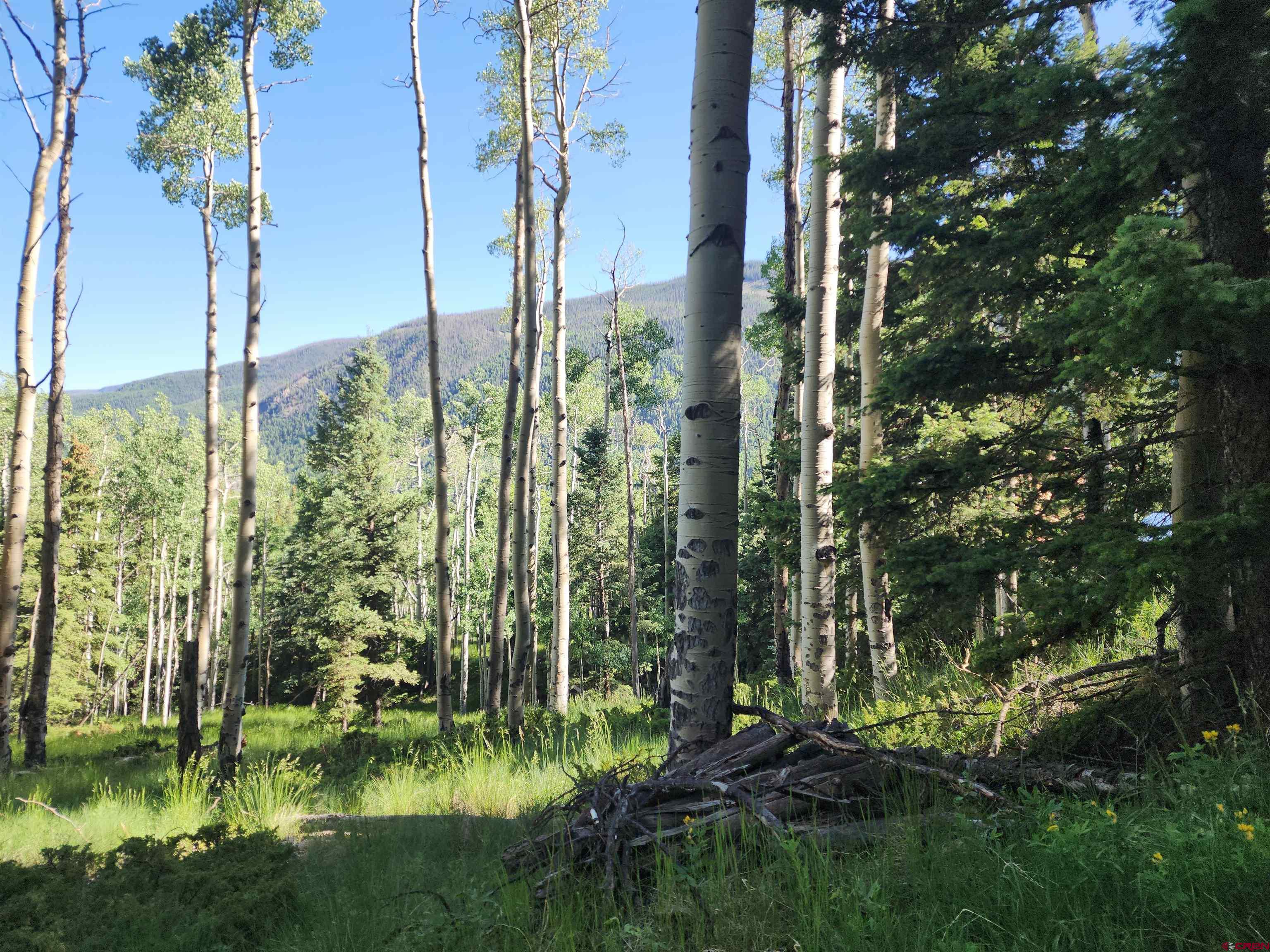 1-3 Block 84 Del Norte, CO 81132 - Photo 1 of 7 a view of a garden