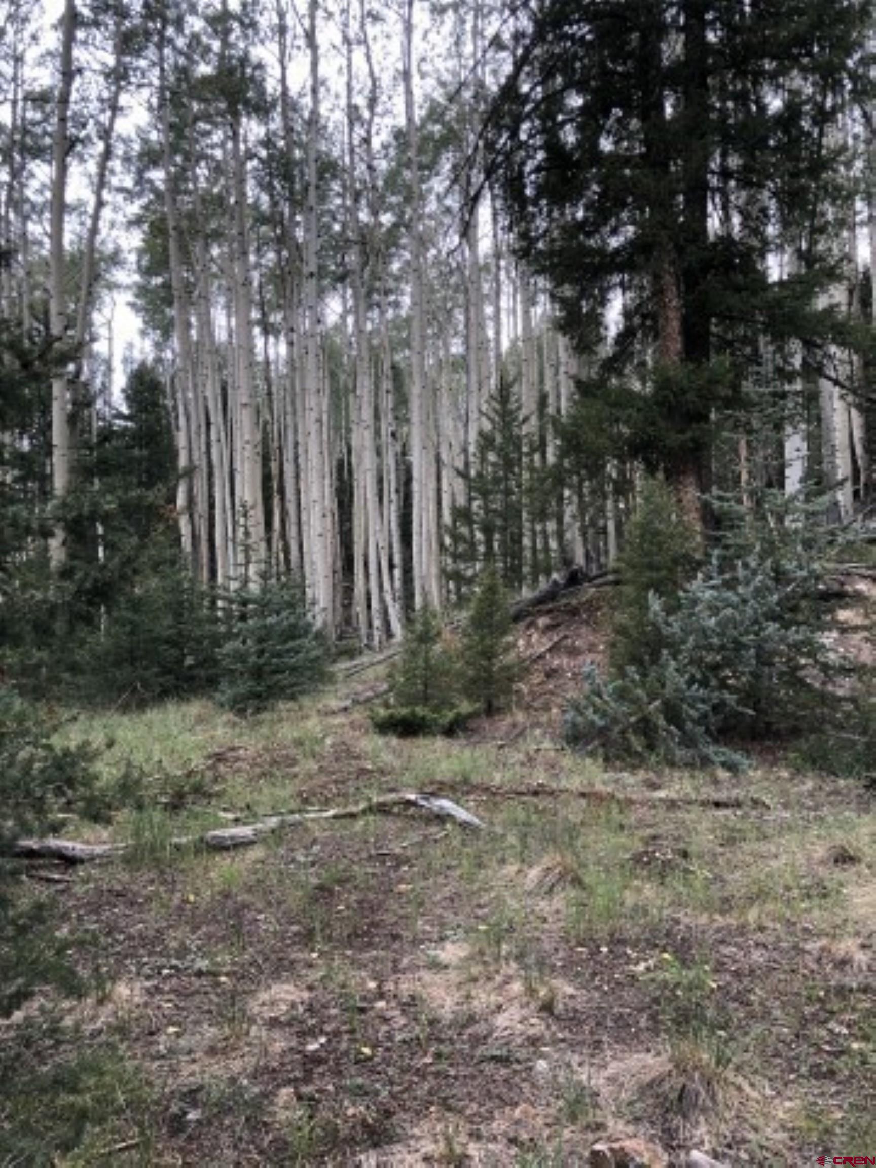 1-3 Block 84 Del Norte, CO 81132 - Photo 2 of 7 a view of backyard with green space