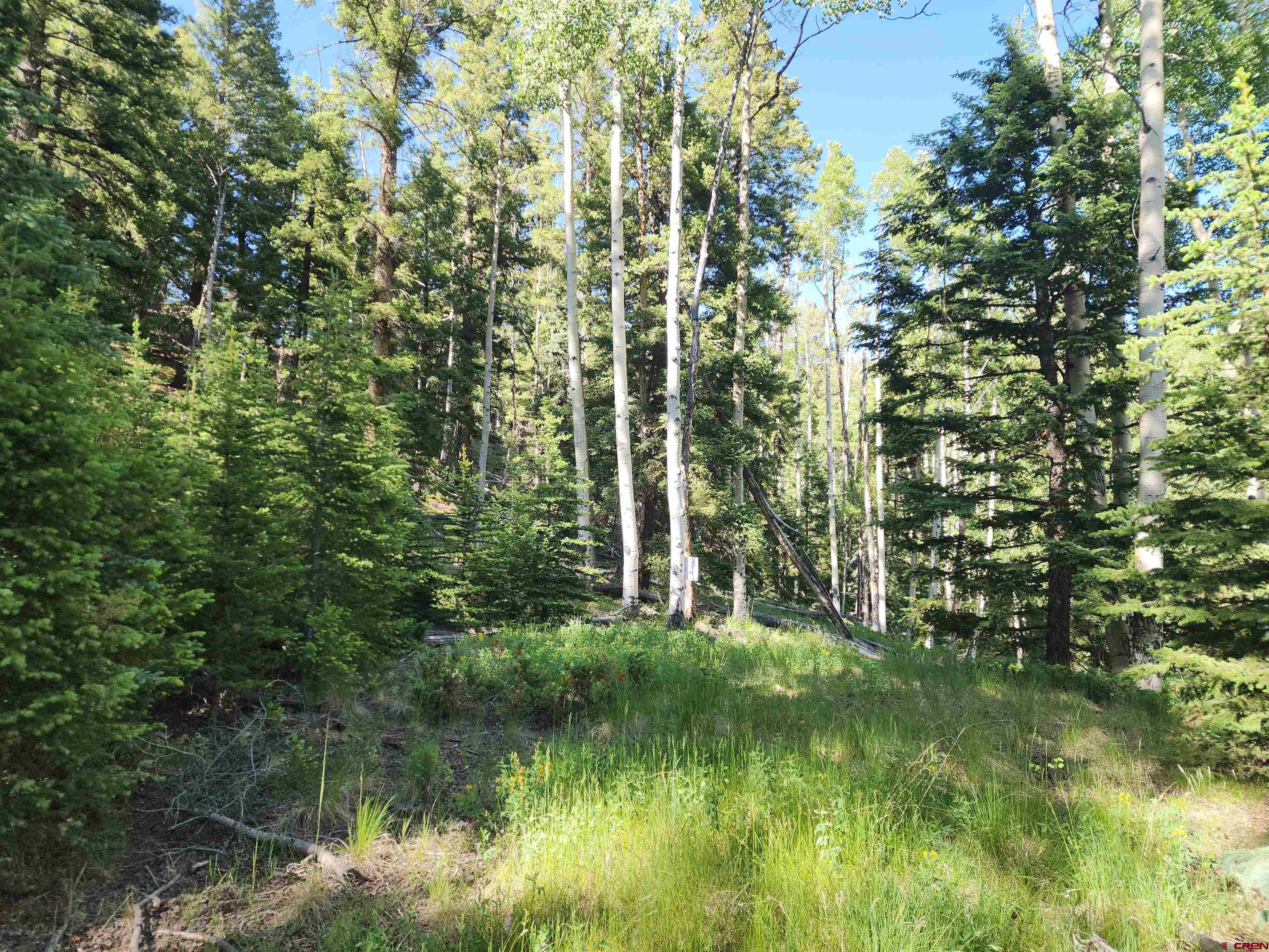 1-3 Block 84 Del Norte, CO 81132 - Photo 3 of 7 a view of a lake view with a garden