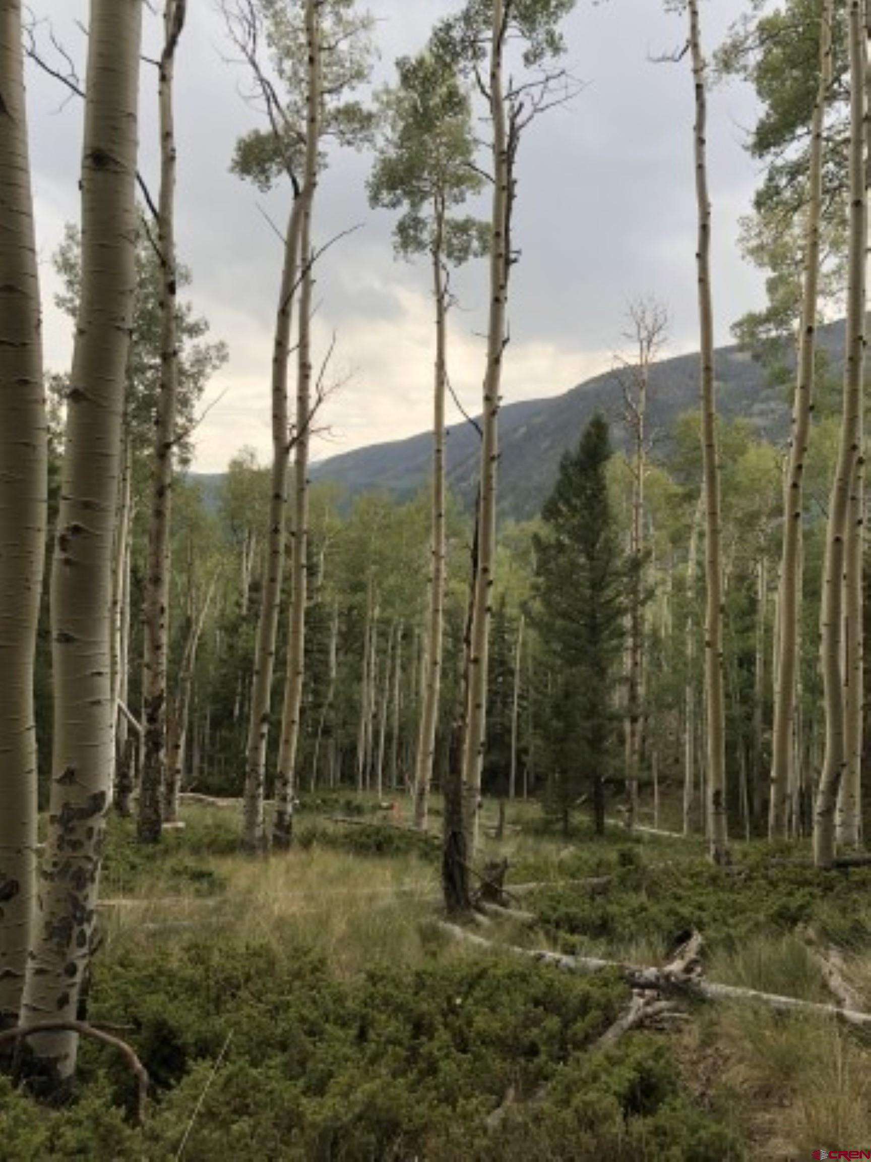 1-3 Block 84 Del Norte, CO 81132 - Photo 4 of 7 a view of a forest