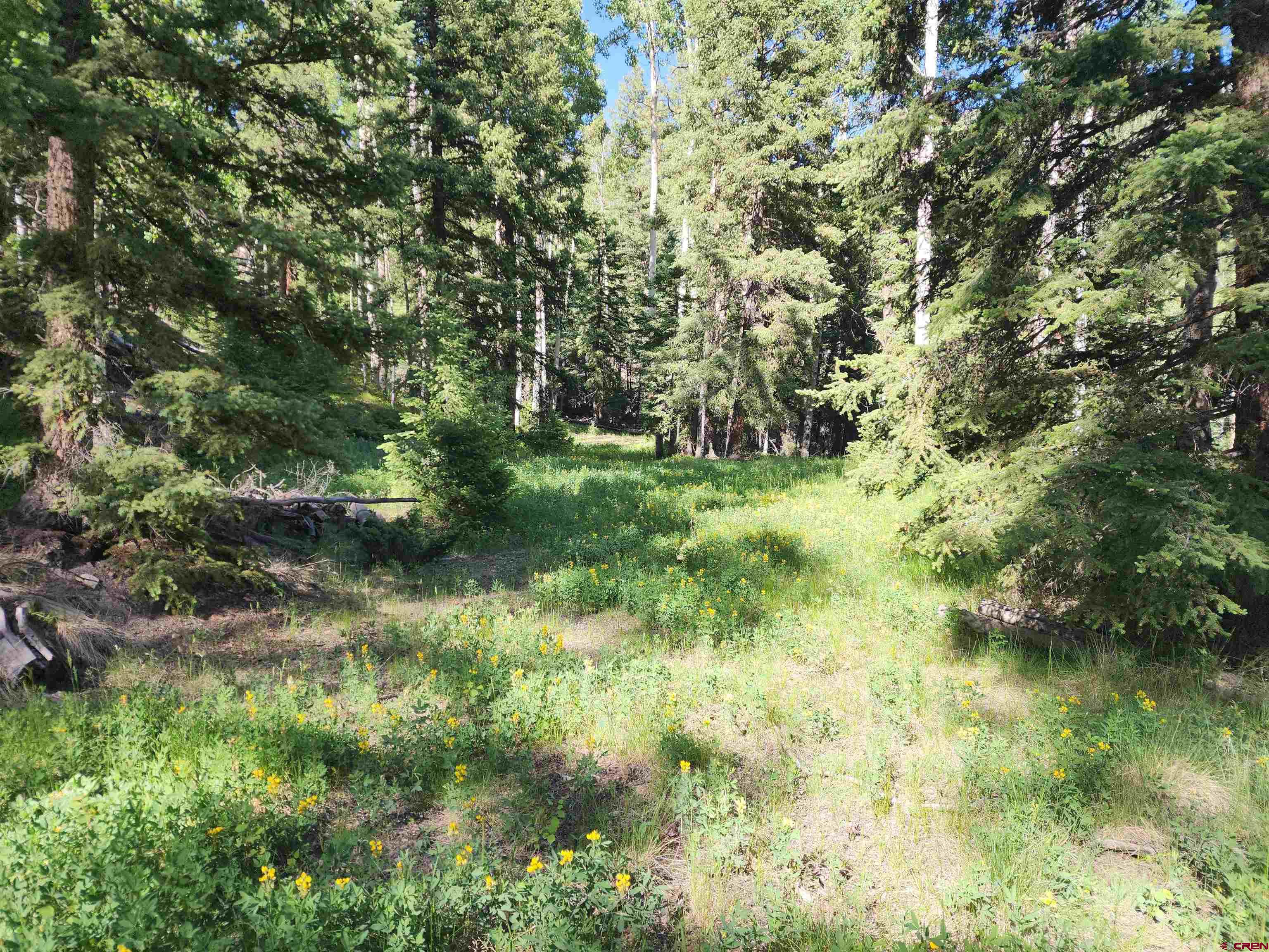 1-3 Block 84 Del Norte, CO 81132 - Photo 5 of 7 a view of a lake with a tree
