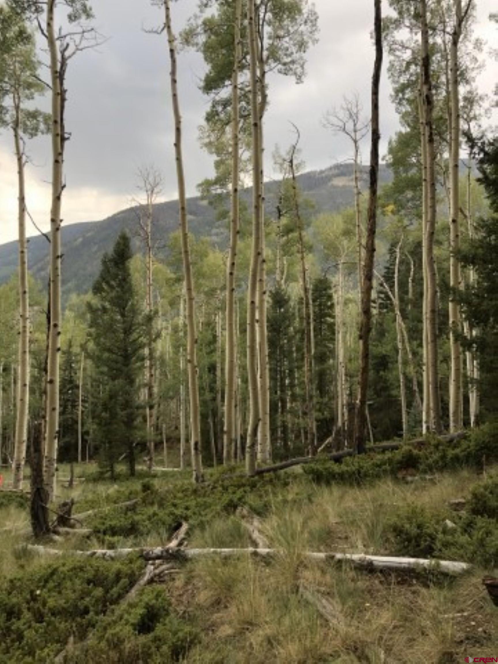 1-3 Block 84 Del Norte, CO 81132 - Photo 6 of 7 a view of a outdoor space