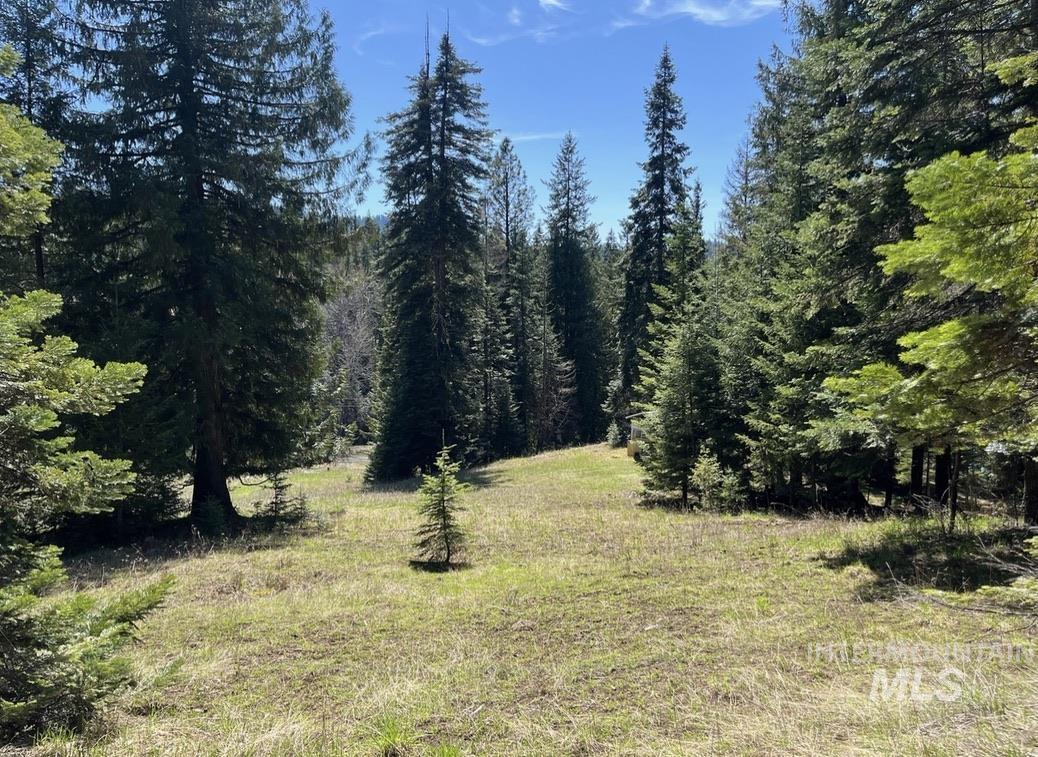 936 Red Fir Road Kooskia, ID 83539 - Photo 22 of 29