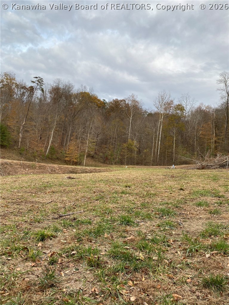 0 Poca River Road Poca, WV 25159 - Photo 7 of 30 Gallery Image 7
