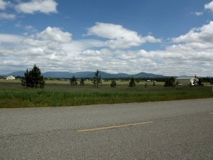 N/a North Weir Road Athol, ID 83801 - Photo 1 of 1 looking east