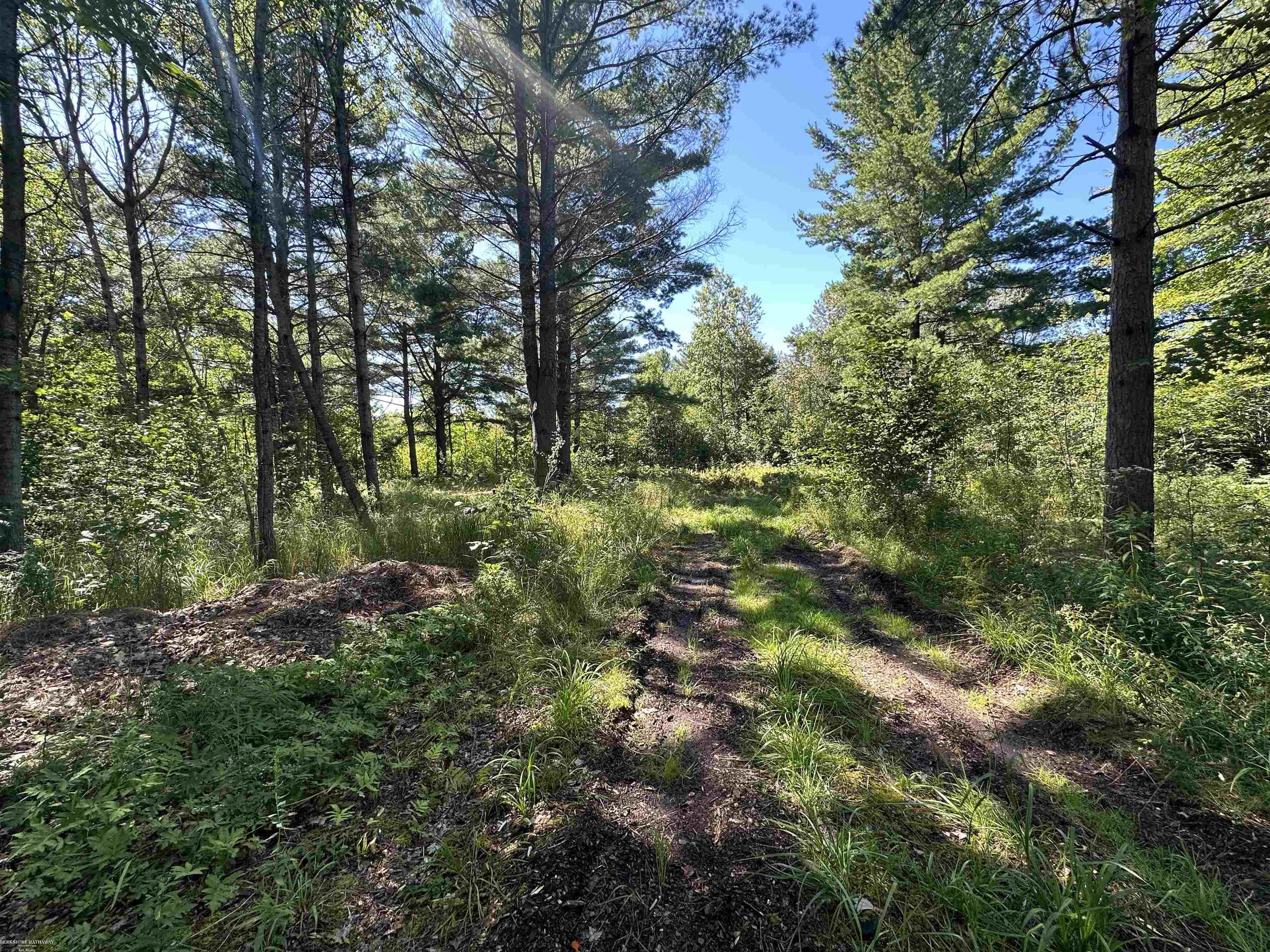 0 Long Lake Road Hale, MI 48739 - Photo 20 of 20