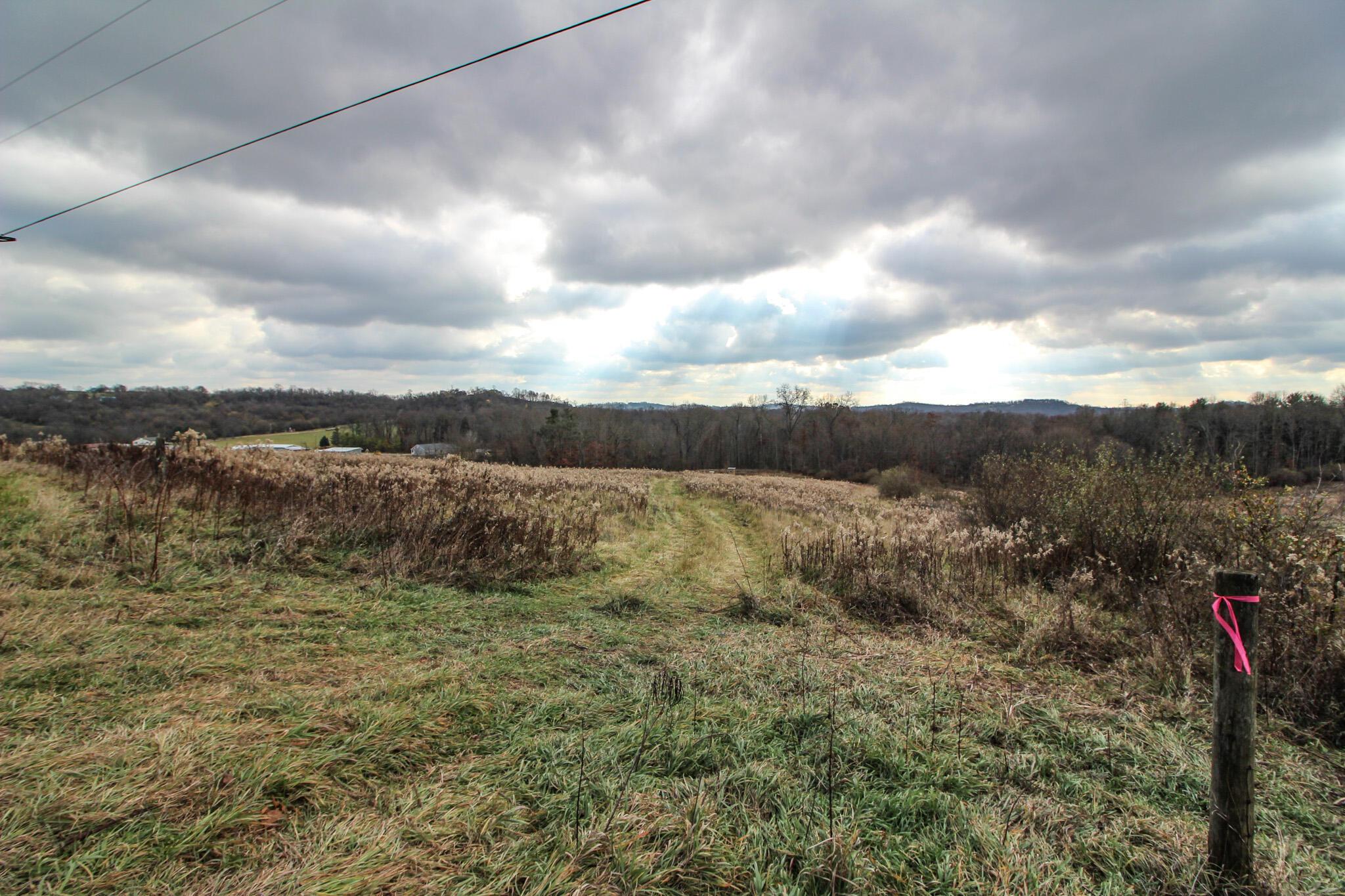 0 Shaver Road Blue Rock, OH 43720 - Photo 2 of 26 IMG_7574