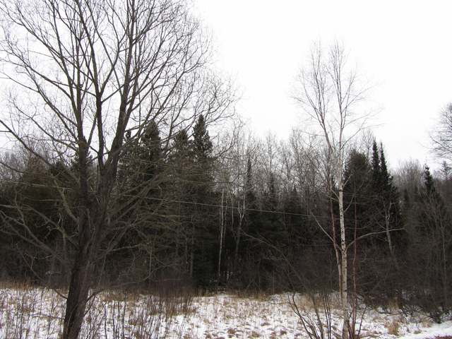 4040 Deerskin Road, Unit SOUTH LOT Phelps, WI 54554 - Photo 4 of 8 Gallery Image 4