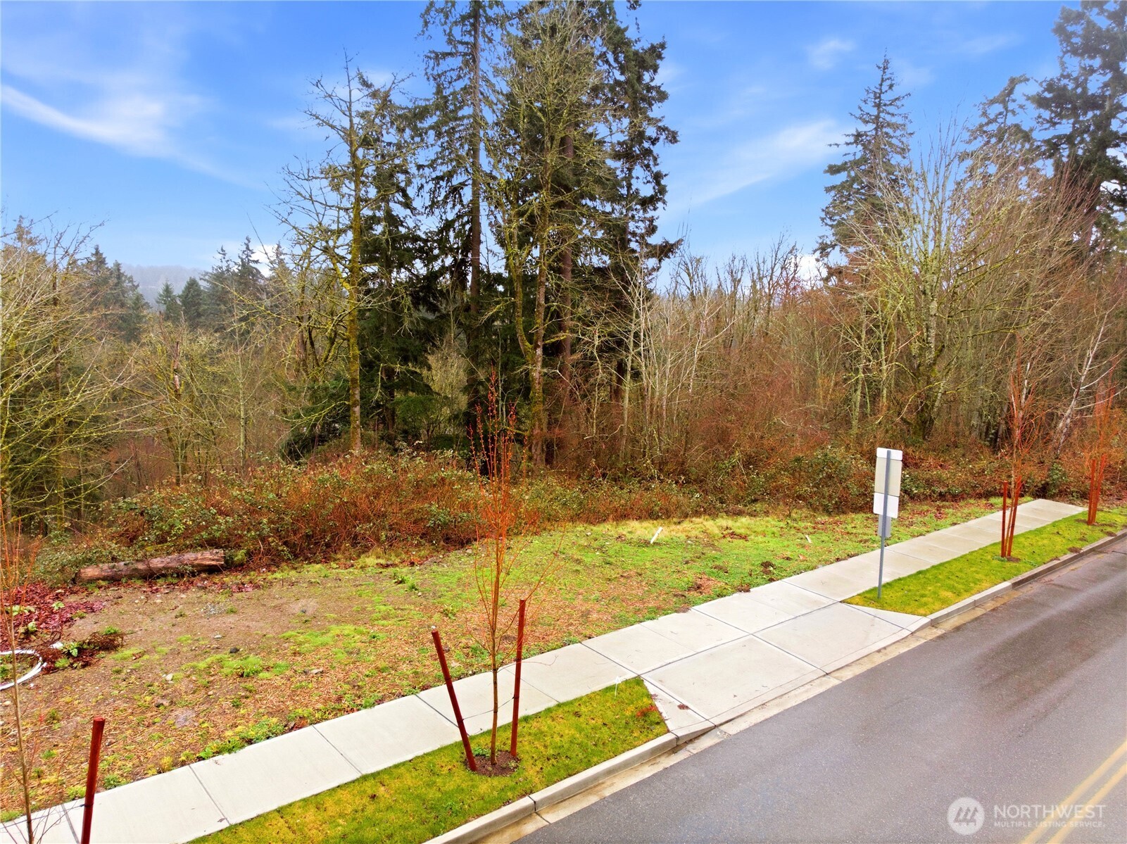 13655 Southeast 88th Way Newcastle, WA 98059 - Photo 13 of 29 a view of a backyard of the house