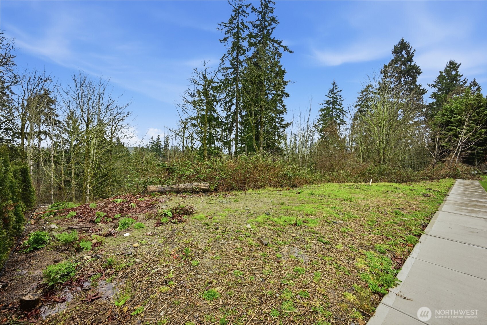 13655 Southeast 88th Way Newcastle, WA 98059 - Photo 21 of 29 a view of a yard with trees