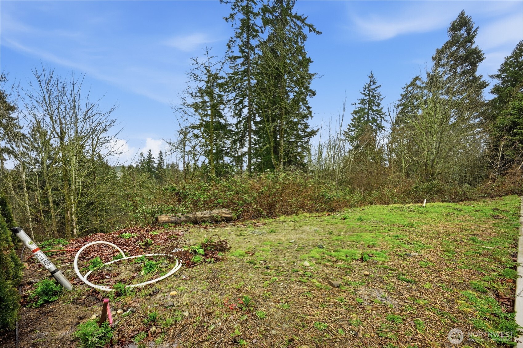 13655 Southeast 88th Way Newcastle, WA 98059 - Photo 25 of 29 a backyard of a house with lots of green space