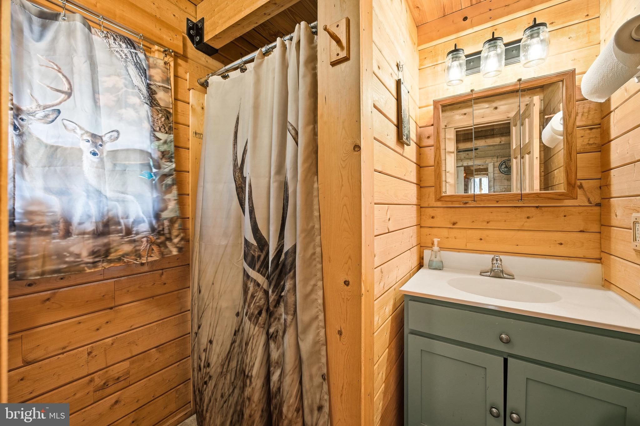 333 Rouse Mountain Road Great Cacapon, WV 25422 - Photo 20 of 54 a bathroom with a sink and a shower curtain