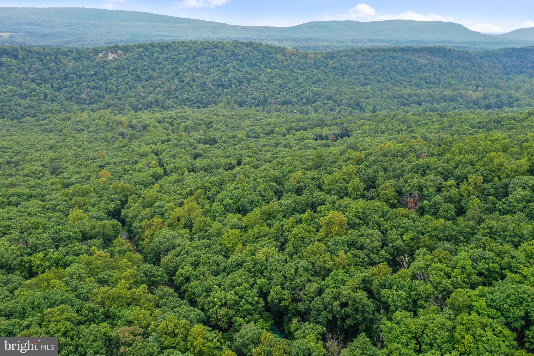 333 Rouse Mountain Road Great Cacapon, WV 25422 - Photo 2 of 54 a view of a field with an trees