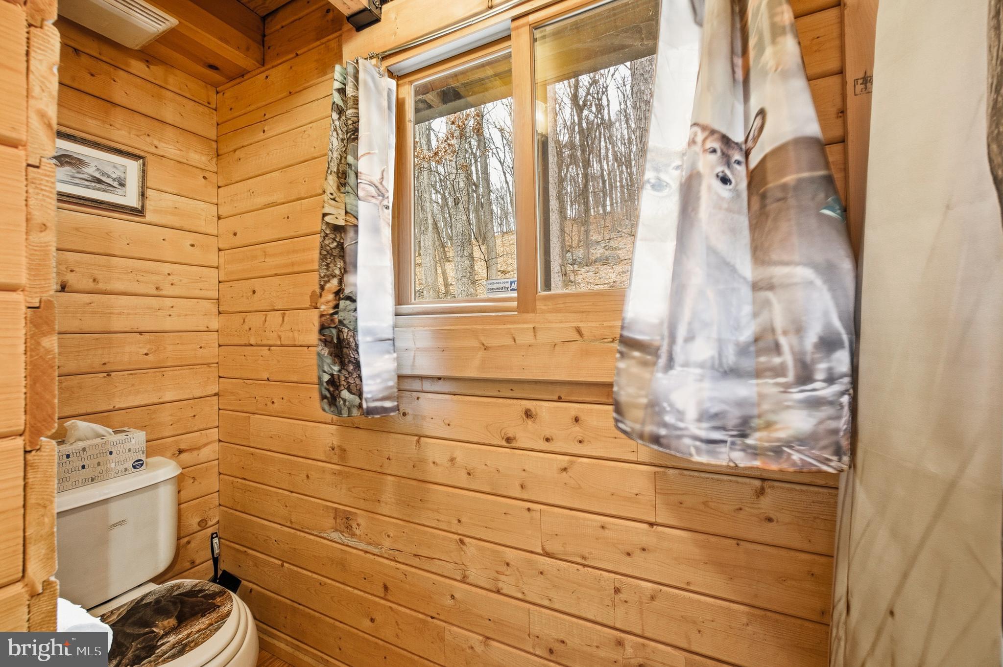 333 Rouse Mountain Road Great Cacapon, WV 25422 - Photo 21 of 54 a bathroom with a sink and a shower