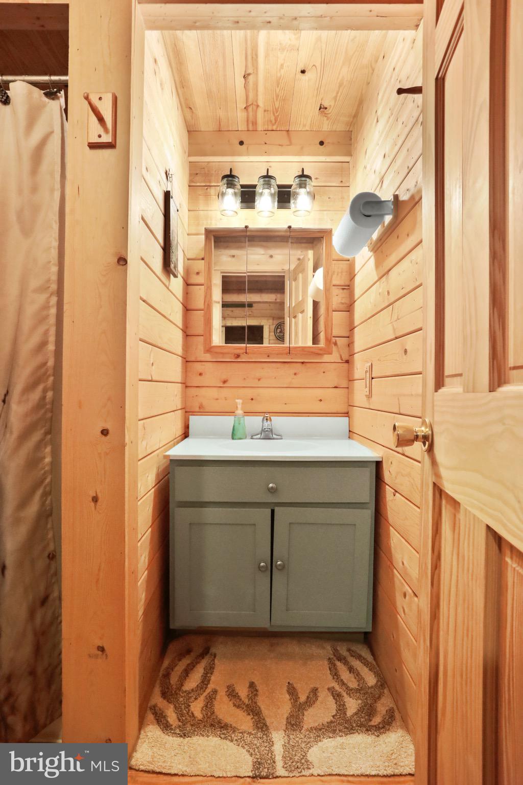 333 Rouse Mountain Road Great Cacapon, WV 25422 - Photo 22 of 54 a bathroom with a sink and a mirror