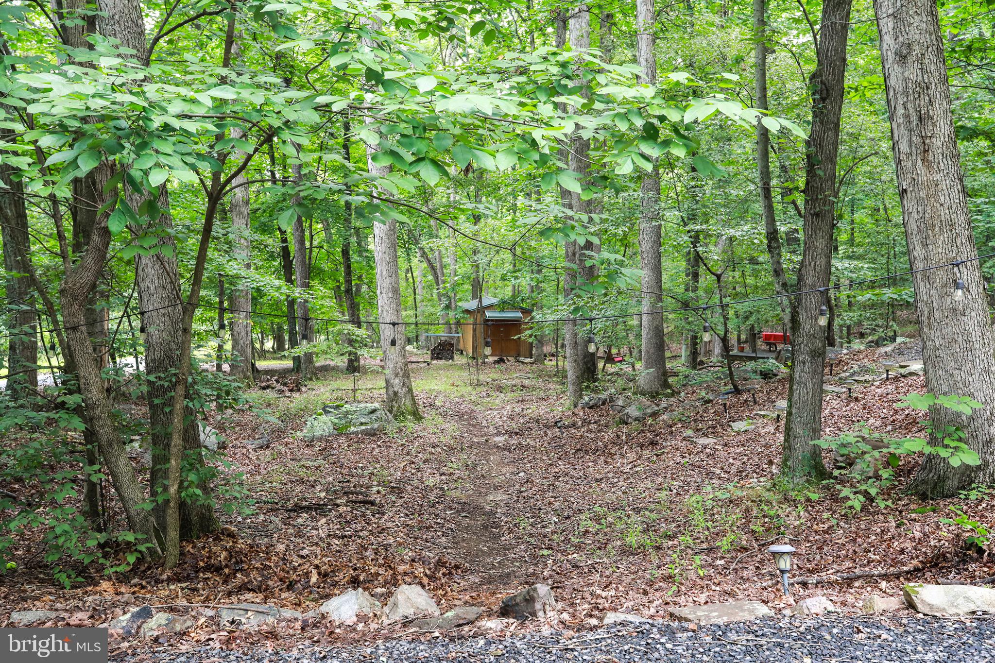333 Rouse Mountain Road Great Cacapon, WV 25422 - Photo 36 of 54 a backyard of a house with lots of green space