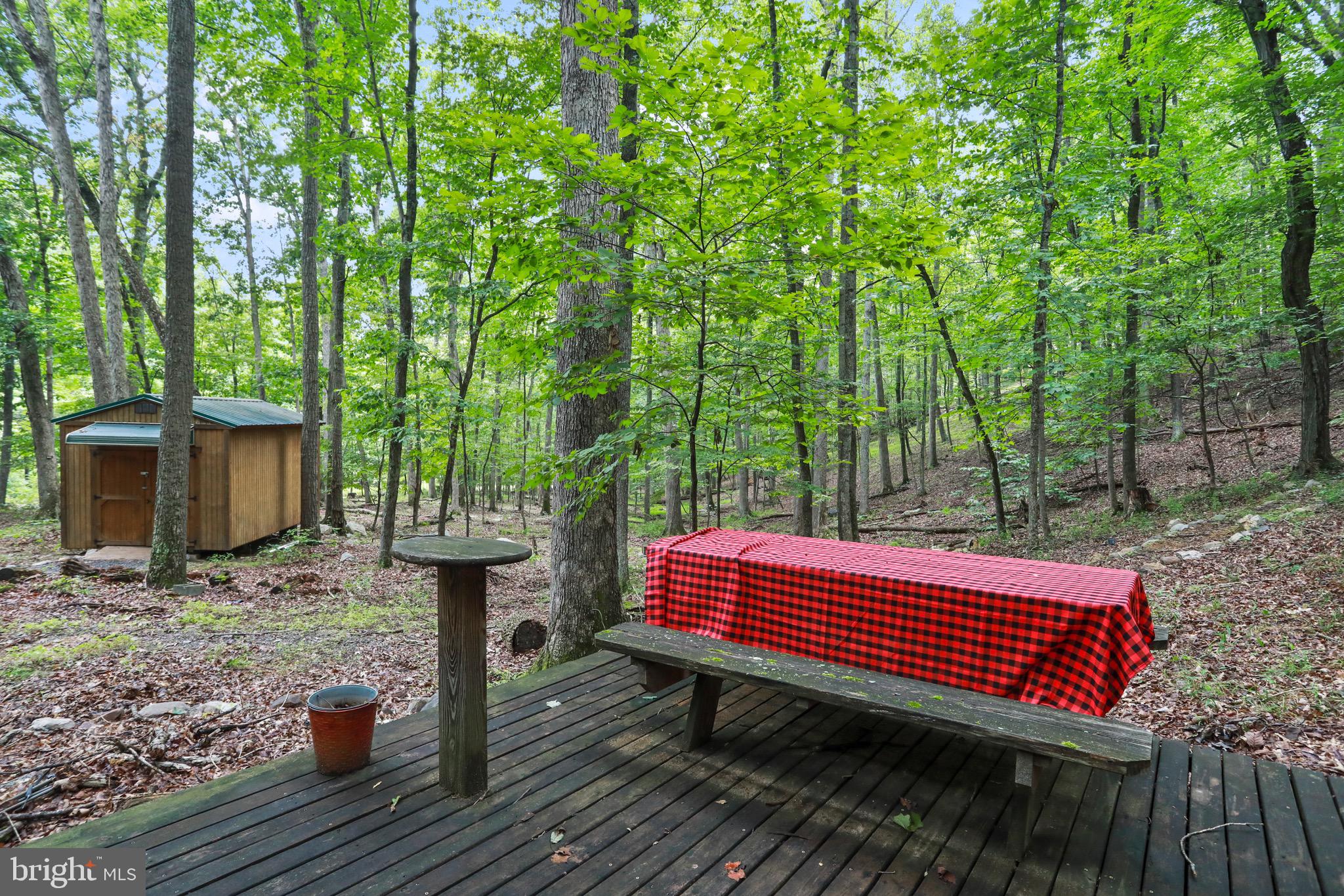 333 Rouse Mountain Road Great Cacapon, WV 25422 - Photo 38 of 54 a view of a backyard with plants and outdoor seating