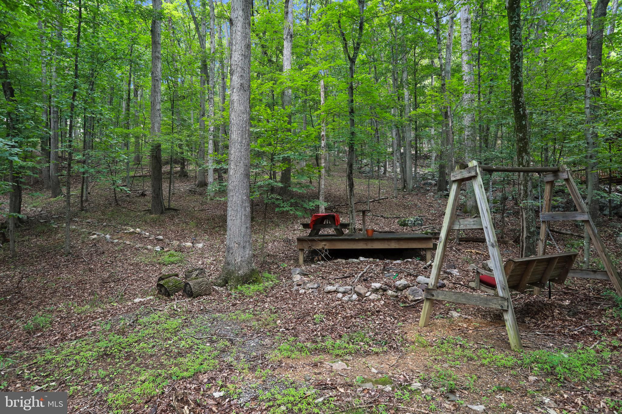 333 Rouse Mountain Road Great Cacapon, WV 25422 - Photo 39 of 54 a backyard of a house with table and chairs