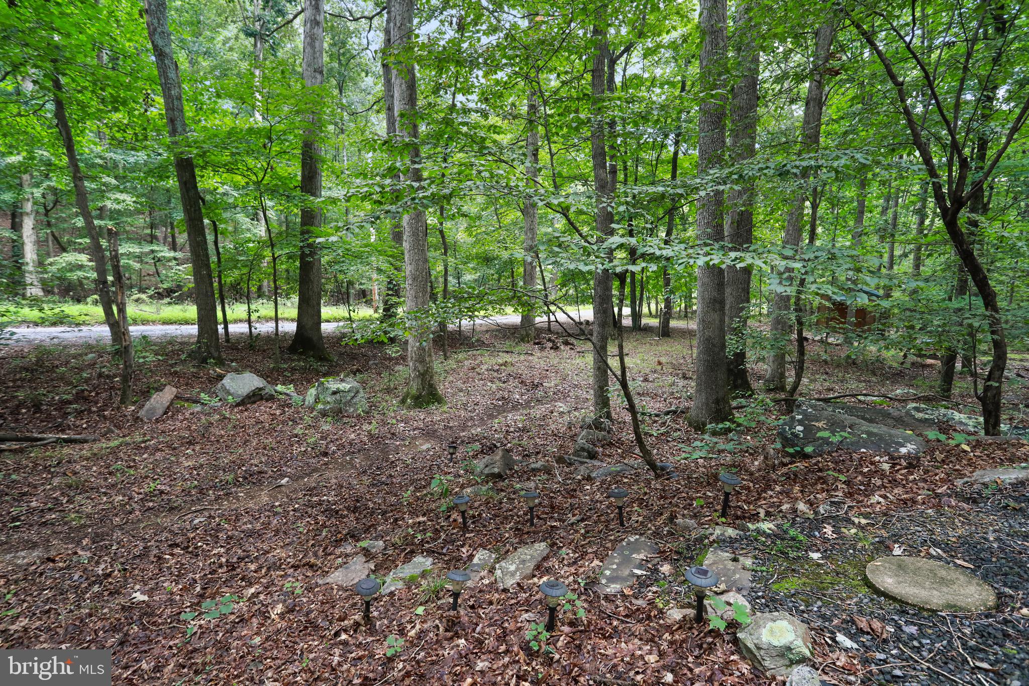 333 Rouse Mountain Road Great Cacapon, WV 25422 - Photo 40 of 54 a backyard of a house with lots of green space