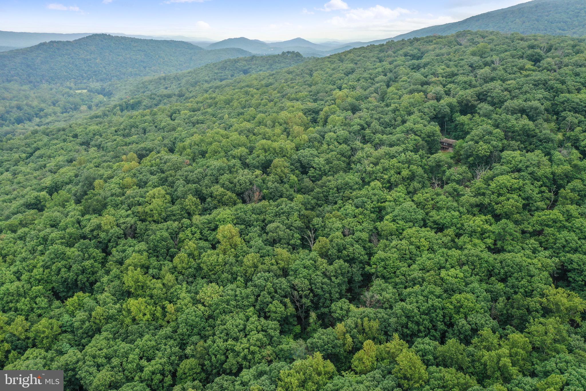 333 Rouse Mountain Road Great Cacapon, WV 25422 - Photo 48 of 54 a view of a lush green forest with lush green forest