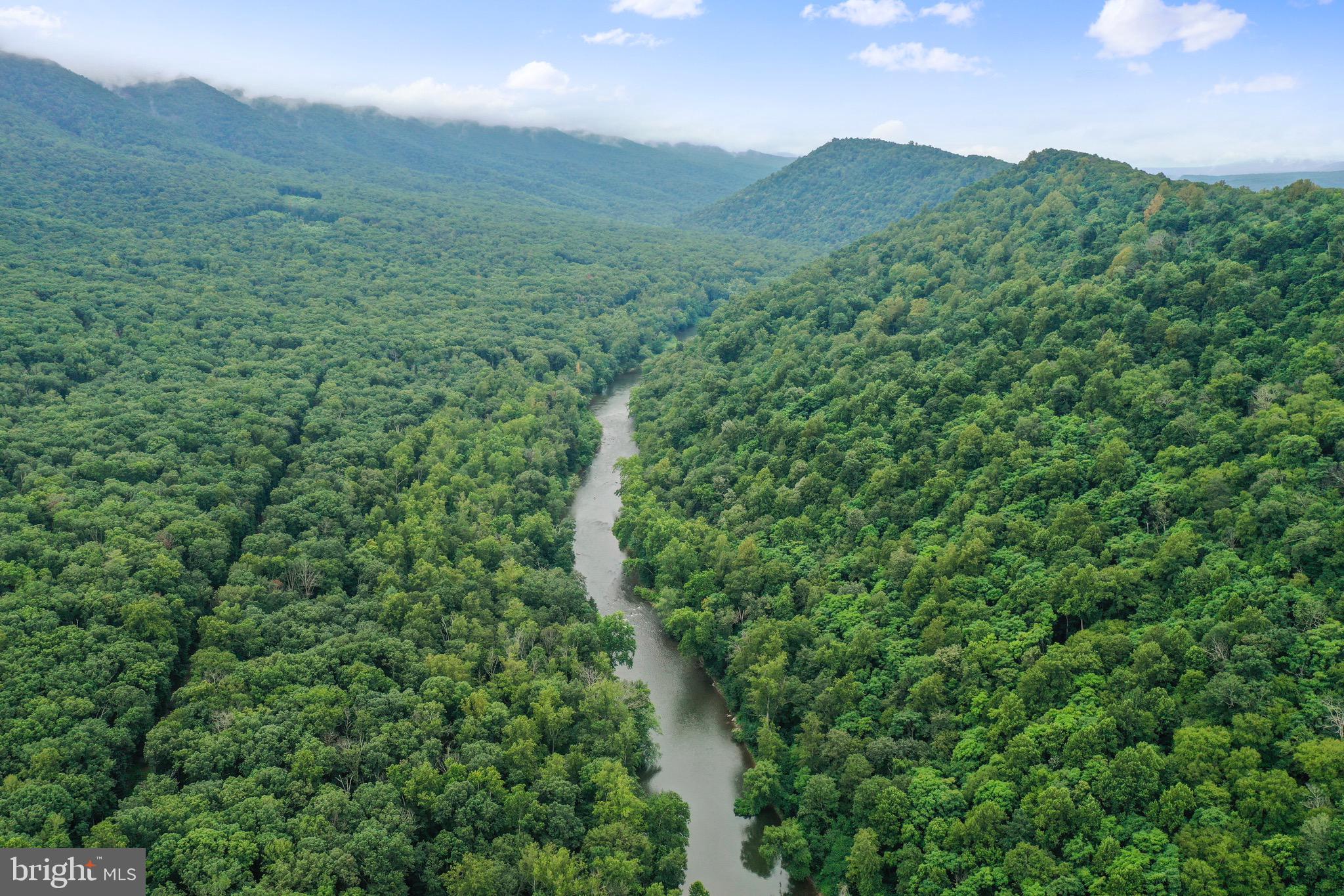 333 Rouse Mountain Road Great Cacapon, WV 25422 - Photo 50 of 54 a view of a lush green forest with a mountain