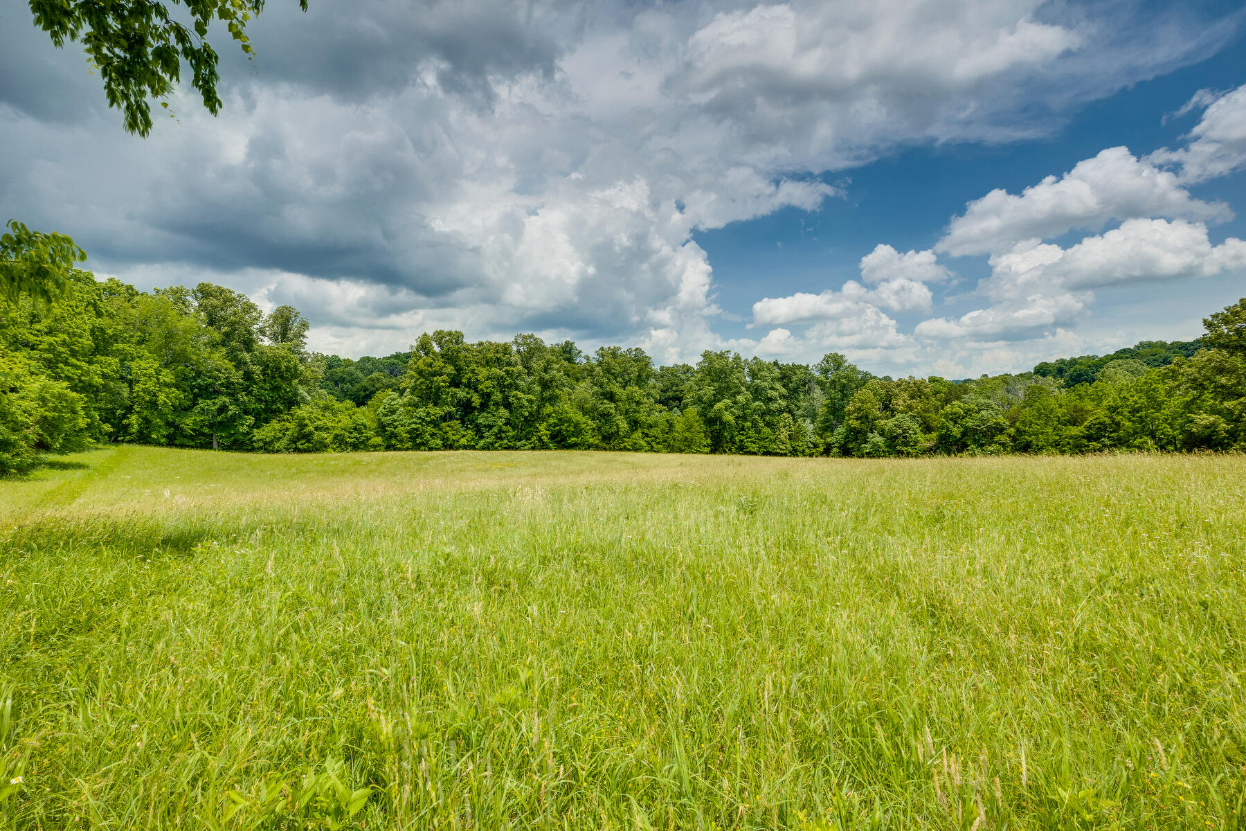 0 Pettyjohn Road Kingsport, TN 37664 - Photo 8 of 8 104