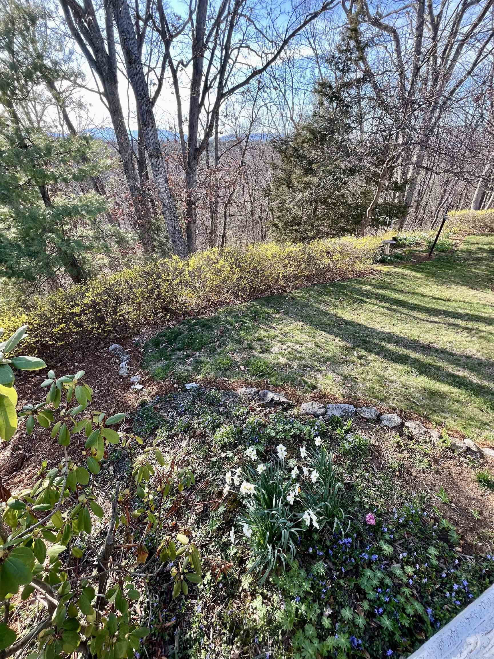 1187 Pinehurst Road Staunton, VA 24401 - Photo 50 of 57 Gallery Image 50