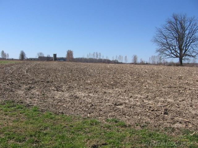 8595 Gibbons Road Jeddo, MI 48032 - Photo 41 of 43 31240761-40.JPG