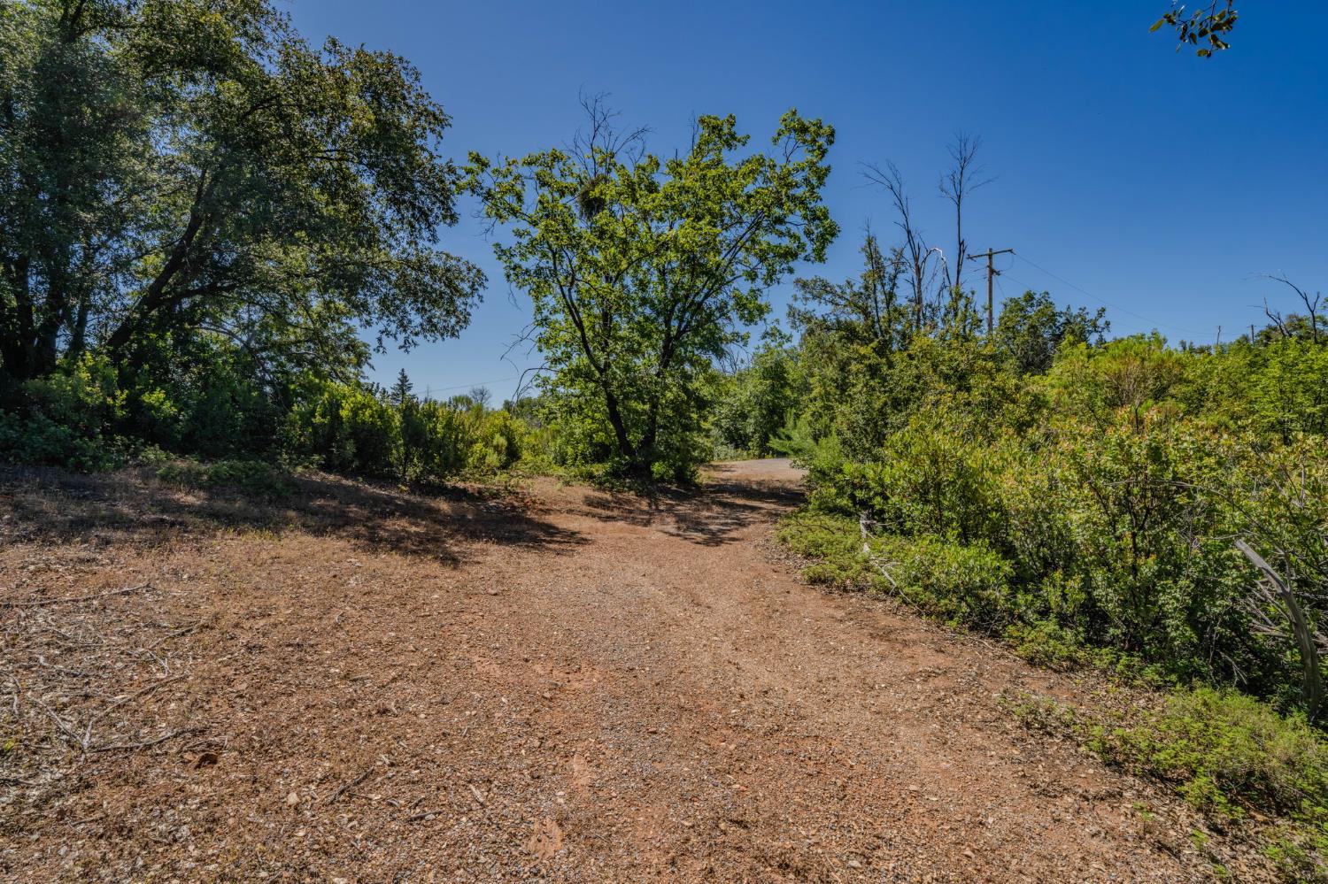 7256 Nikki Mountain Ranch Mountain Ranch, CA 95246 - Photo 16 of 27