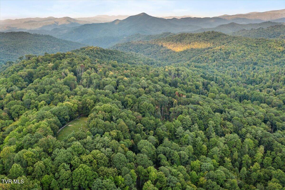 1259 Heaton Branch Road Butler, TN 37640 - Photo 18 of 20 11-DJI_0871