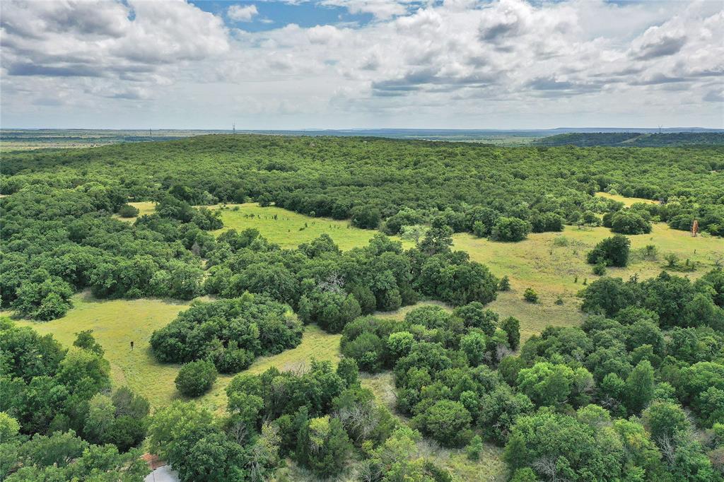 157-acres Nash Road Jacksboro, TX 76458 - Photo 8 of 40 Gallery Image 8