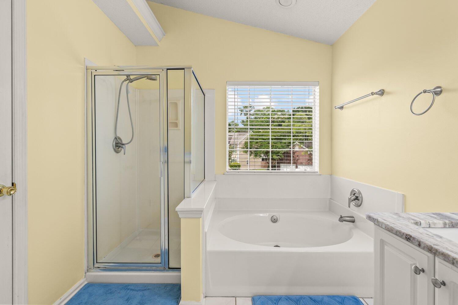 3537 Springmire Court Charleston, SC 29414 - Photo 14 of 19 3537 Springmire-25 (1) primary bath 2