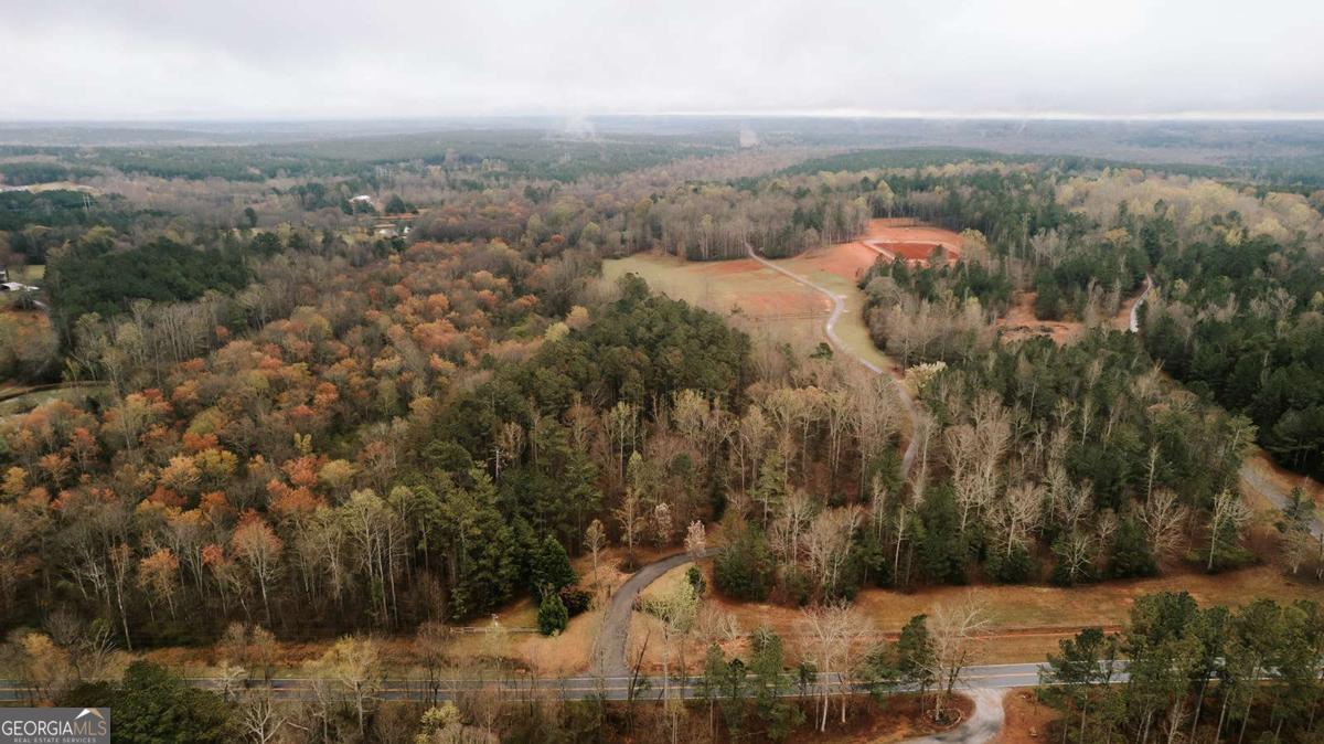 2190 Reese Road Rutledge, GA 30663 - Photo 46 of 59