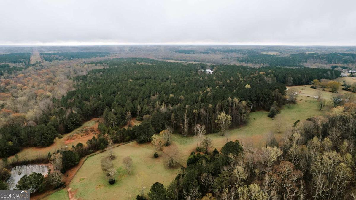 2190 Reese Road Rutledge, GA 30663 - Photo 53 of 59