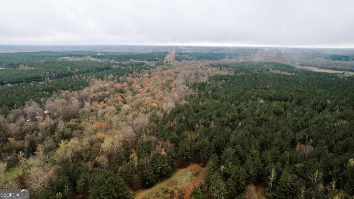 2190 Reese Road Rutledge, GA 30663 - Photo 54 of 59