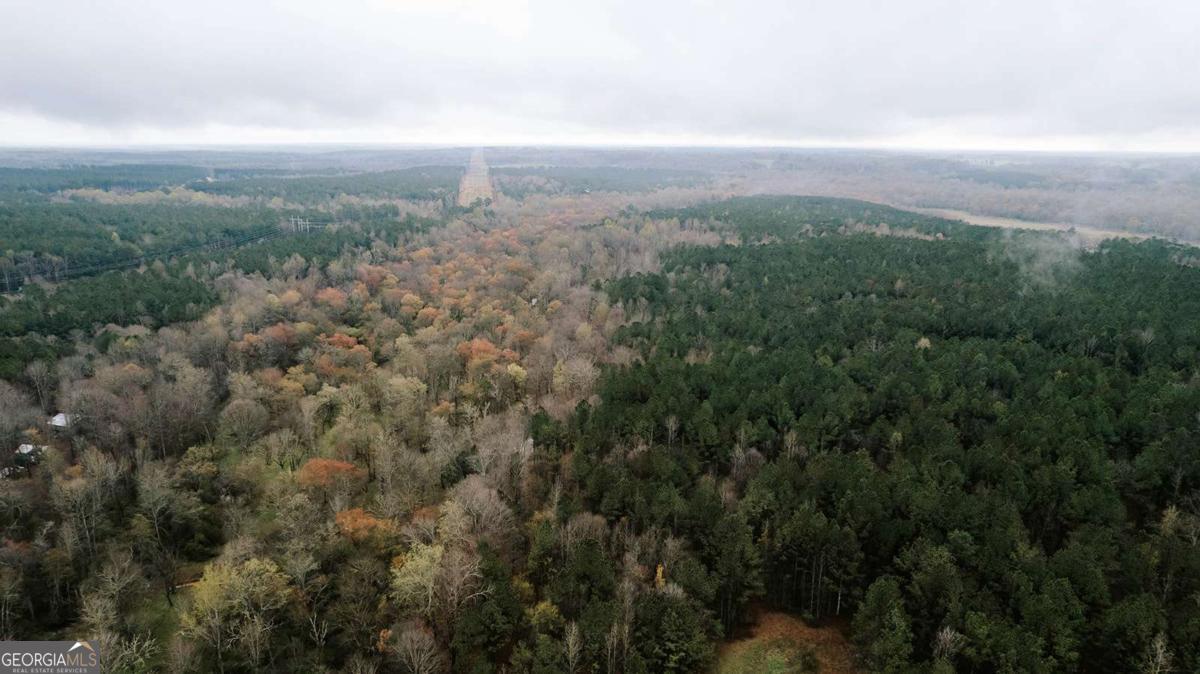 2190 Reese Road Rutledge, GA 30663 - Photo 56 of 59