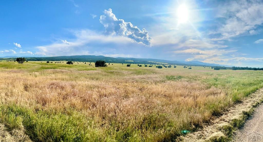 3671 Siloam Road Beulah, CO 81023 - Photo 54 of 79 Gallery Image 54