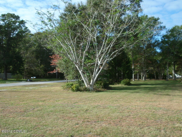410 Goose Creek Road Hubert, NC 28539 - Photo 3 of 5 LOT