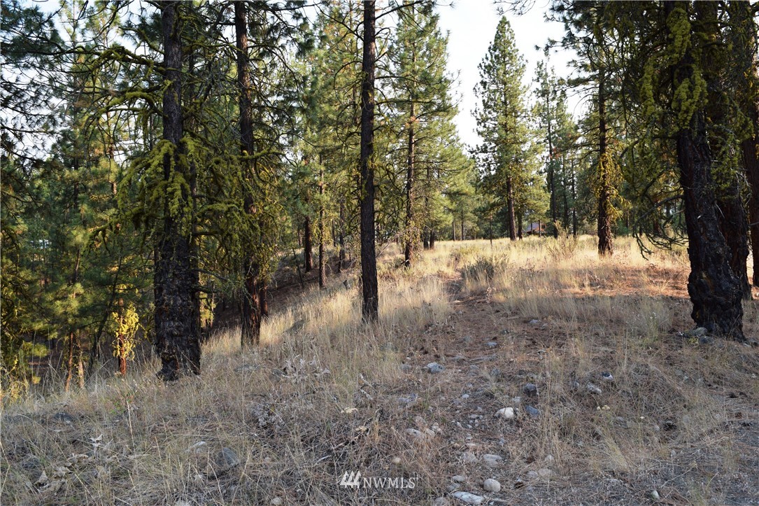 21 Palomino Road Winthrop, WA 98862 - Photo 25 of 30 Gallery Image 25