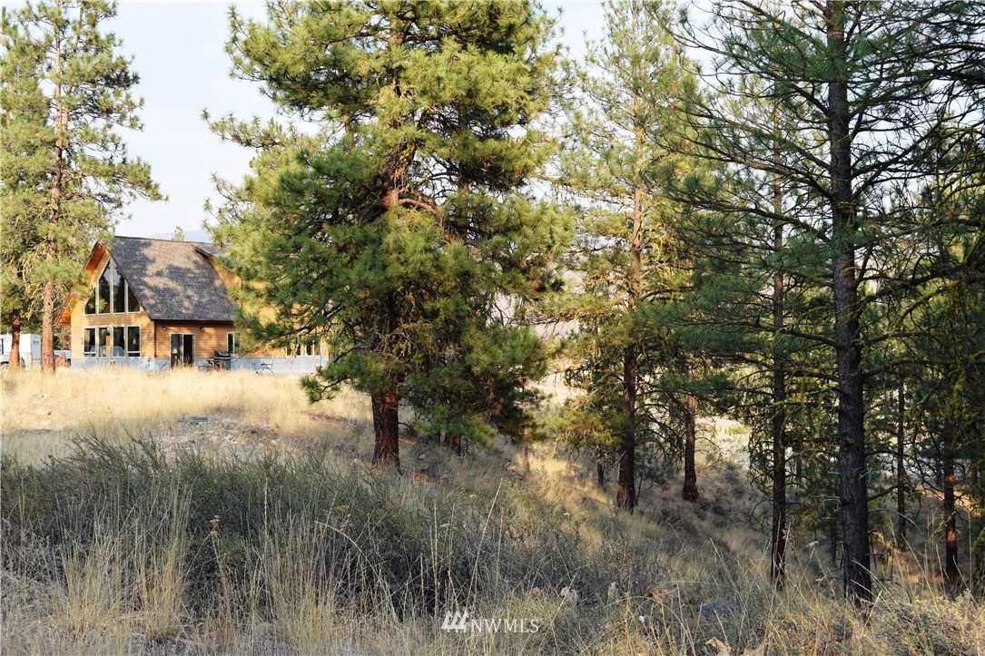 21 Palomino Road Winthrop, WA 98862 - Photo 26 of 30 Gallery Image 26