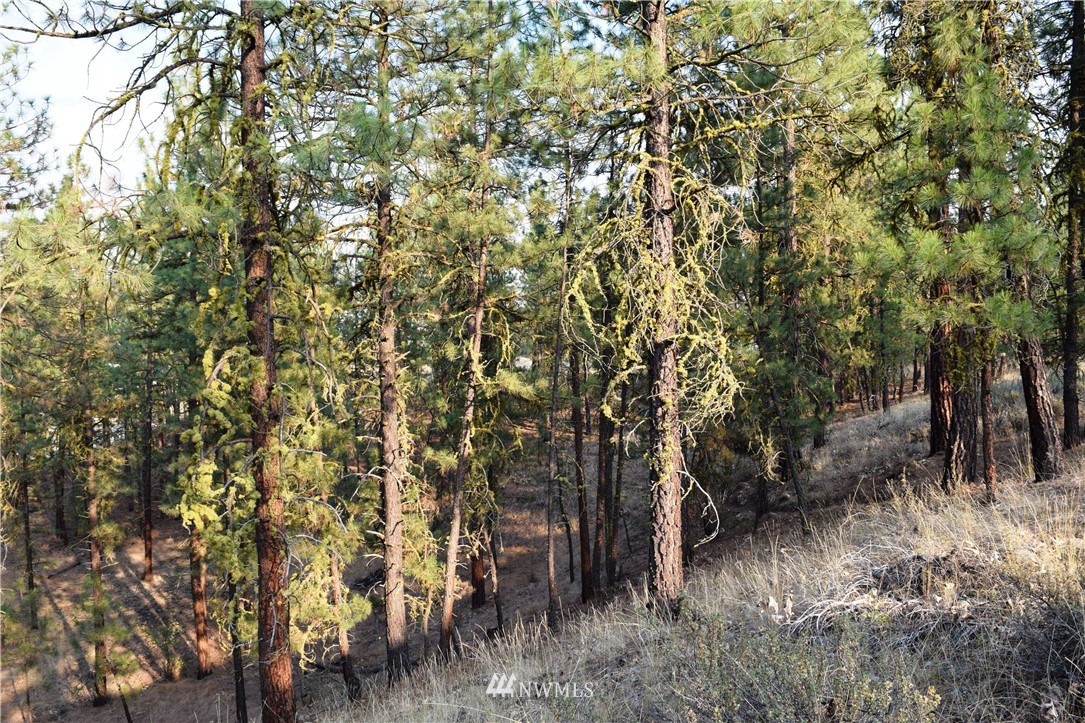 21 Palomino Road Winthrop, WA 98862 - Photo 27 of 30 Gallery Image 27