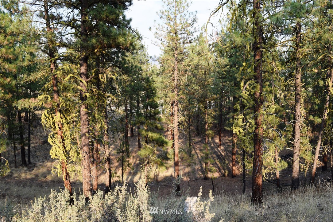 21 Palomino Road Winthrop, WA 98862 - Photo 28 of 30 Gallery Image 28