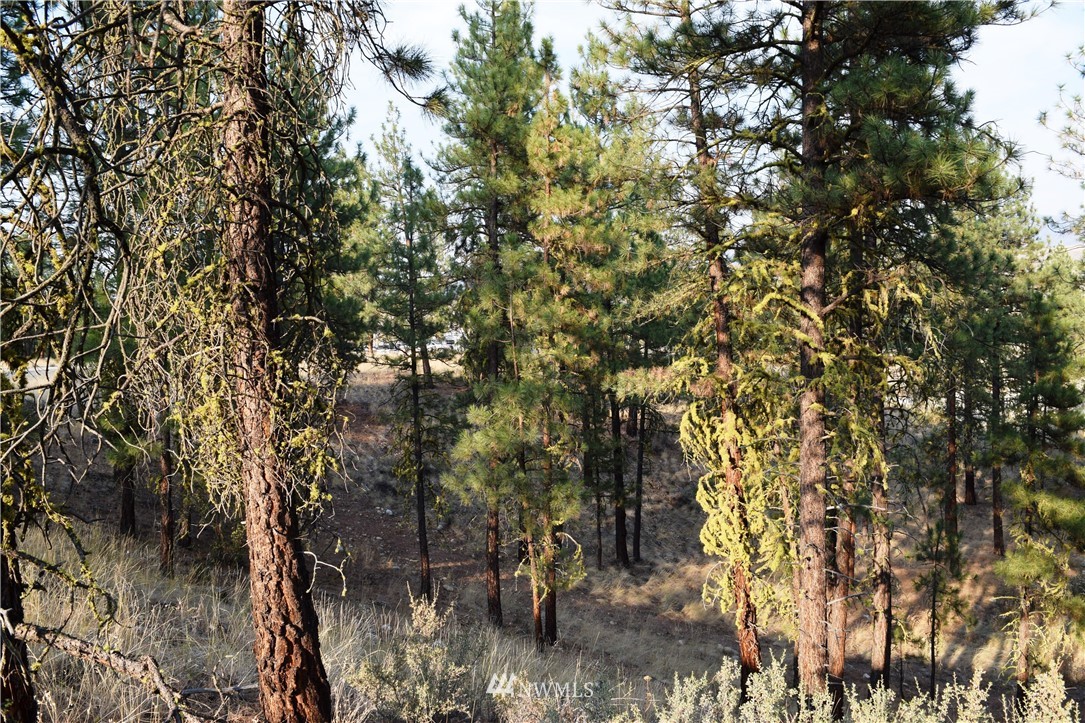 21 Palomino Road Winthrop, WA 98862 - Photo 29 of 30 Gallery Image 29