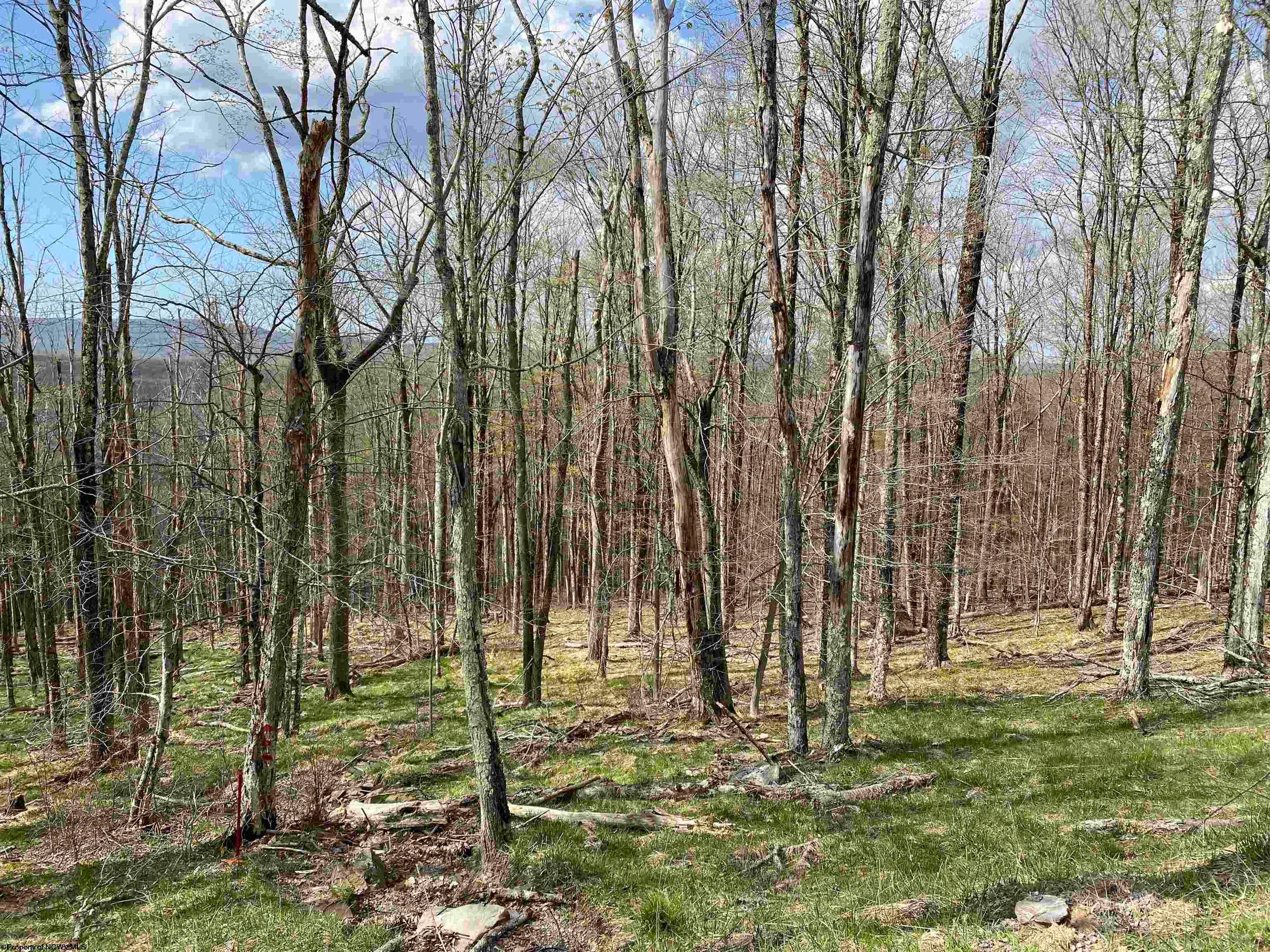 136 Ridge Davis Wv 26260 Davis, WV 26260 - Photo 1 of 9 Gallery Image 1